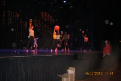 IMG_0039 IMG_0039