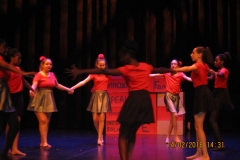 IMG_0047 IMG_0047