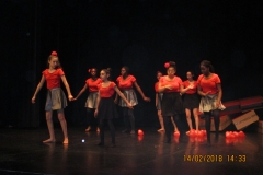 IMG_0050 IMG_0050