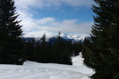 PHOTO_20200311_100201