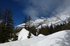 PHOTO_20200311_102350