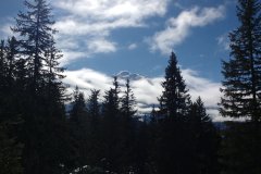 PHOTO_20200311_103839