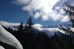 PHOTO_20200311_104547