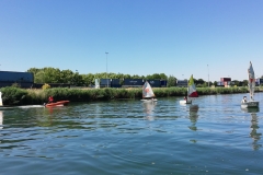 IMG_20200623_114834_resized_20200623_035624694