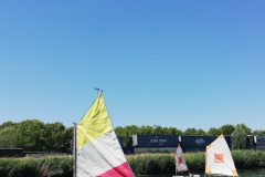 IMG_20200623_115059_resized_20200623_035628051