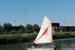 IMG_20200623_115336_resized_20200623_035625506