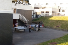 IMG-20190520-WA00091