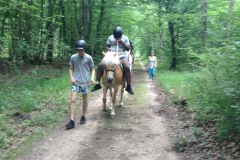 IMG_4452 IMG_4452