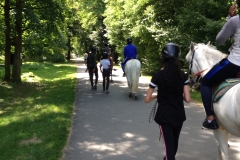IMG_4497 IMG_4497