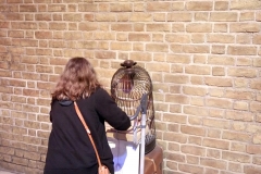 DSC_0037-e1495055026143