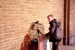 DSC_0039-e1495054952844